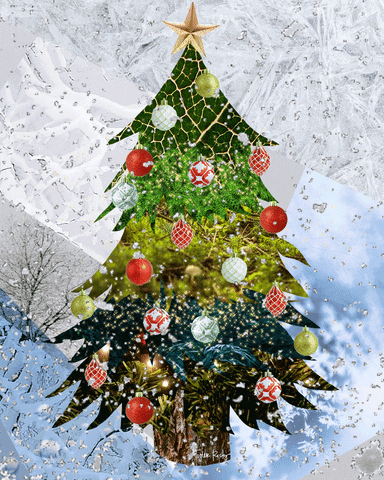 christmas tree.5